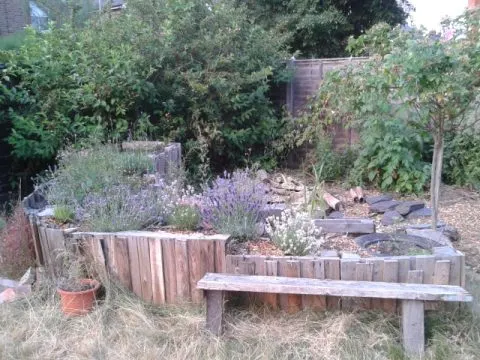 Elevated Ecology: The Advantages And How To of Raised Bed Hugelkultur