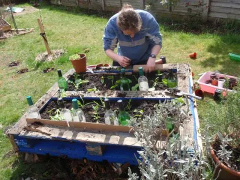 Sustainable Gardening 101: A Guide to Crafting Your Pallet Herb Garden