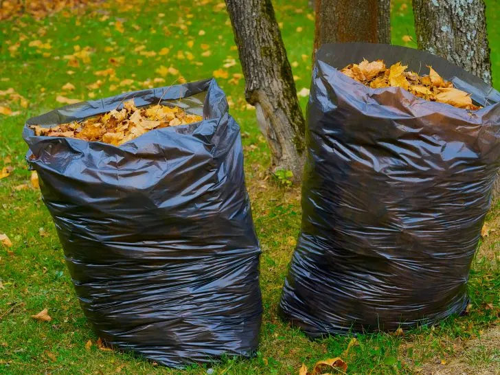 How To Make Leaf Mulch Quickly In The UK